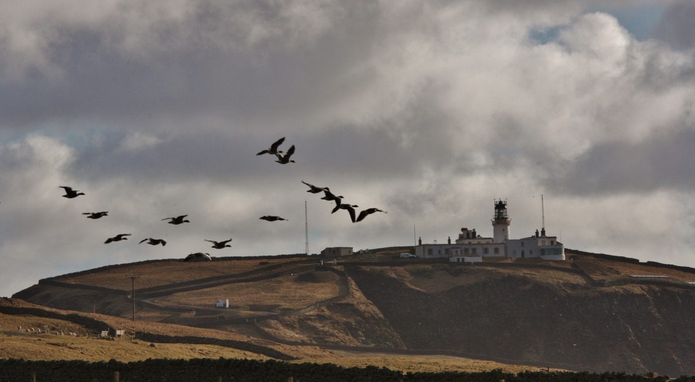 Sumburgh Head Lighthouse