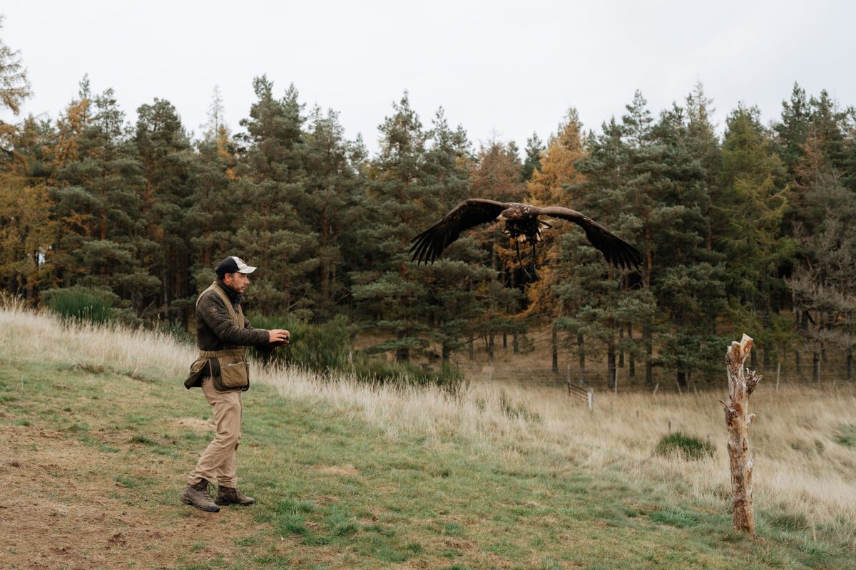 Rothiemurchus