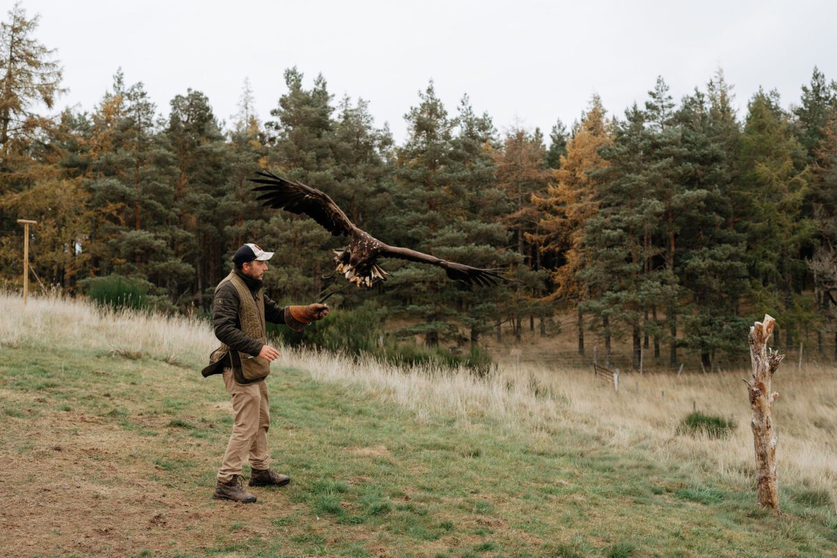 Rothiemurchus
