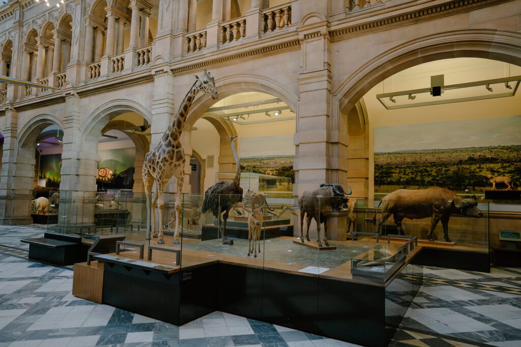 Kelvingrove Gallery & Museum