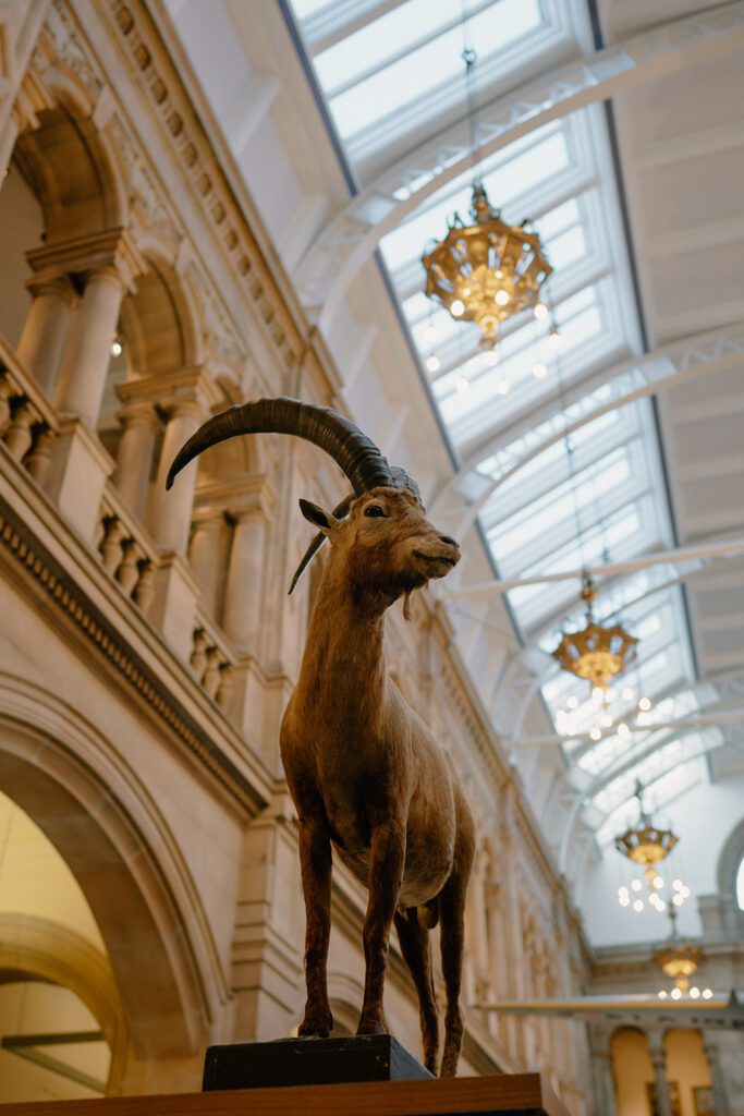 Kelvingrove Gallery & Museum