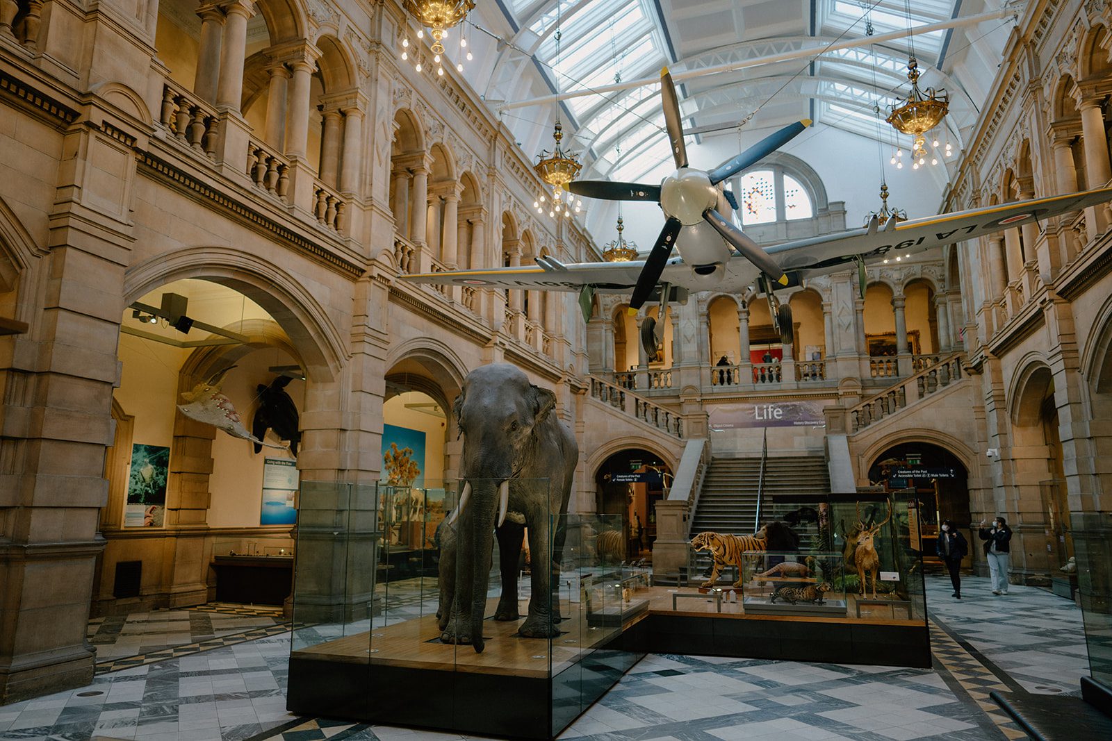 Kelvingrove Art Gallery and Museum