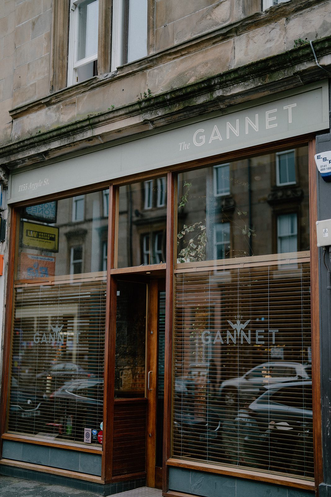 The Gannet