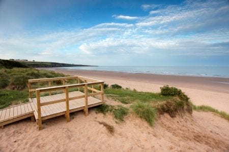 Wooden viewing platform overlooking dunes and a wide sandy beach