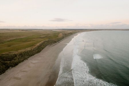 Reiss Sands