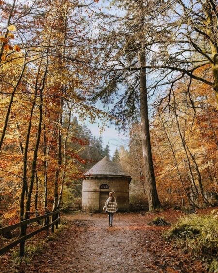 Roam around The Hermitage