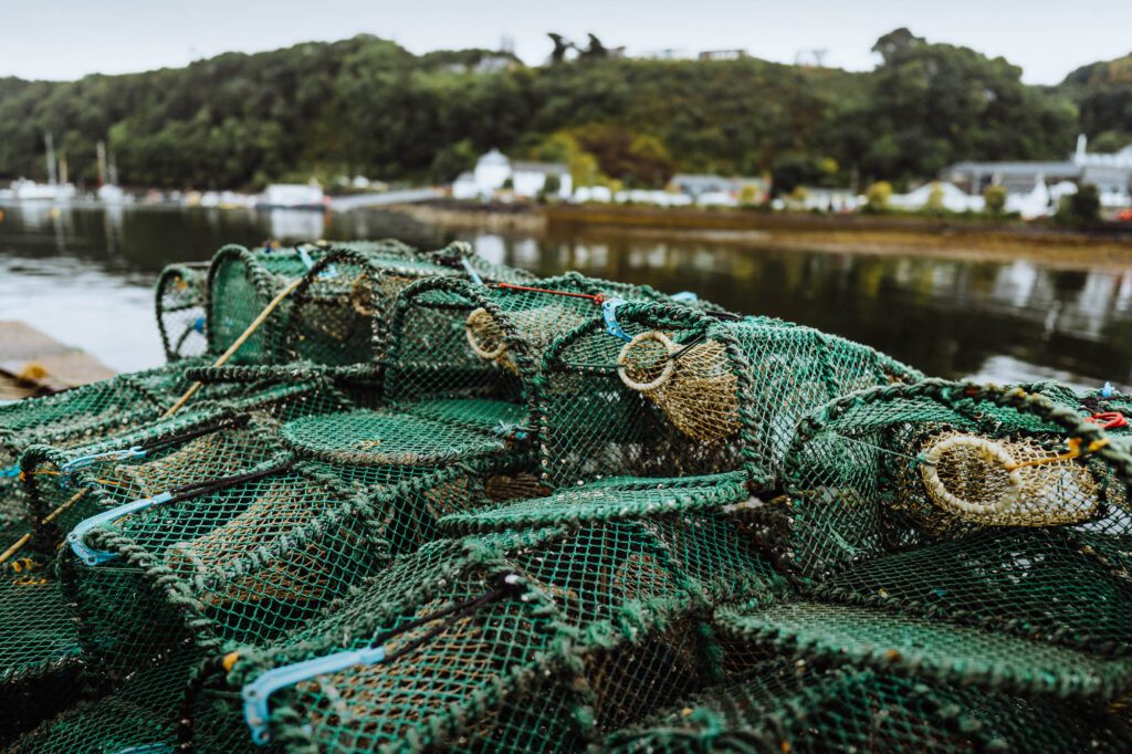 Wander the Streets of Tobermory