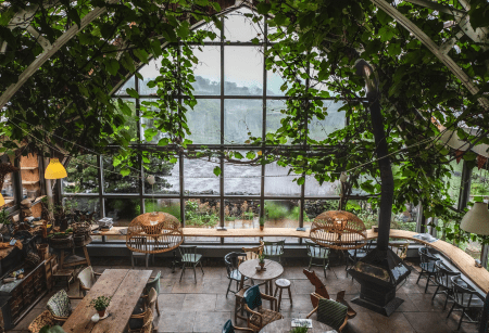 Inside the Glass Barn: tables under a glass roof covered in a green vine, the fields beyond the windows.