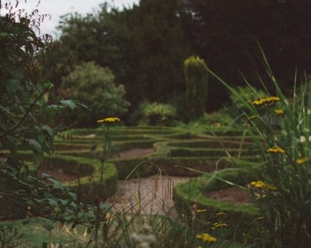 Lose yourself at Rodney Gardens