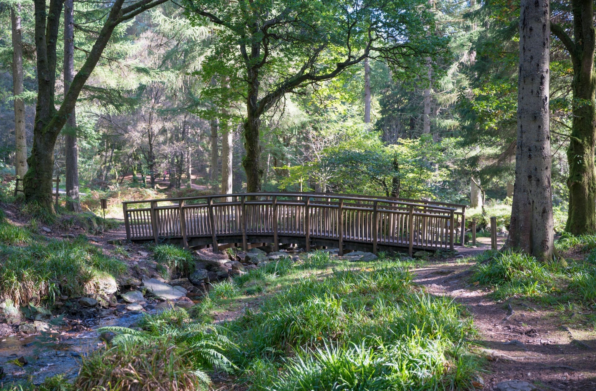 Queen Elizabeth Forest Park