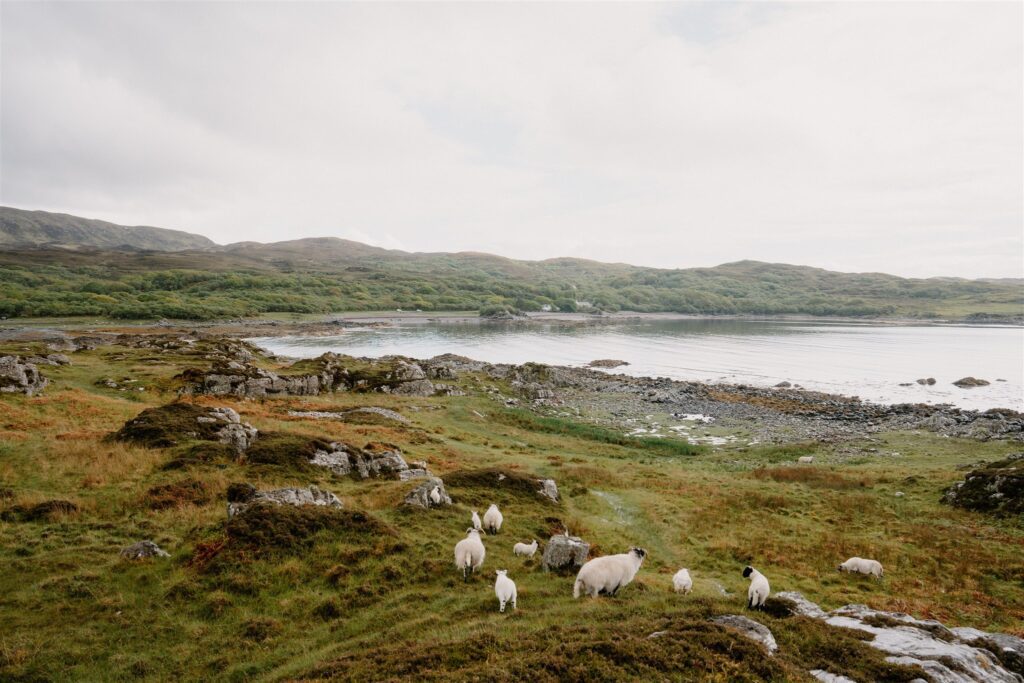 Dunscaith Castle