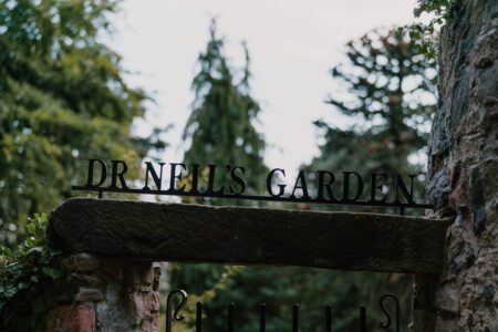 11am: Dr Neils’ Garden