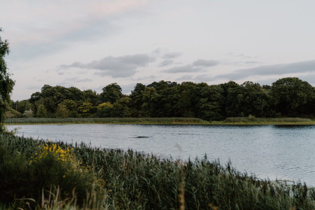 https://hiddenscotland-gallery.ams3.cdn.digitaloceanspaces.com/wp/2019/05/DrNeilsGarden5of7-1024x683.jpg