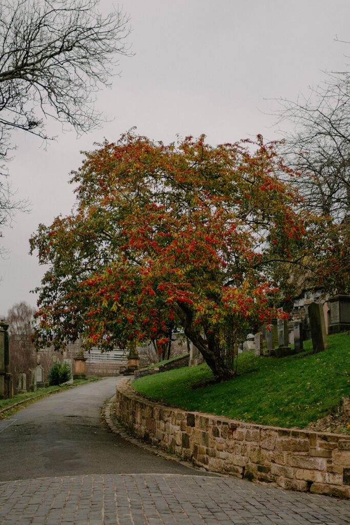 Glasgow Necropolis