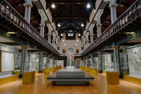 Hunterian Museum and Art Gallery