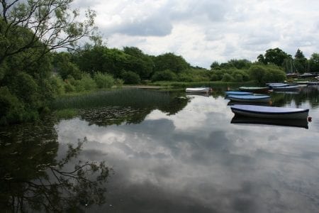 Rowing boats in the still water of Balmaha bay.
