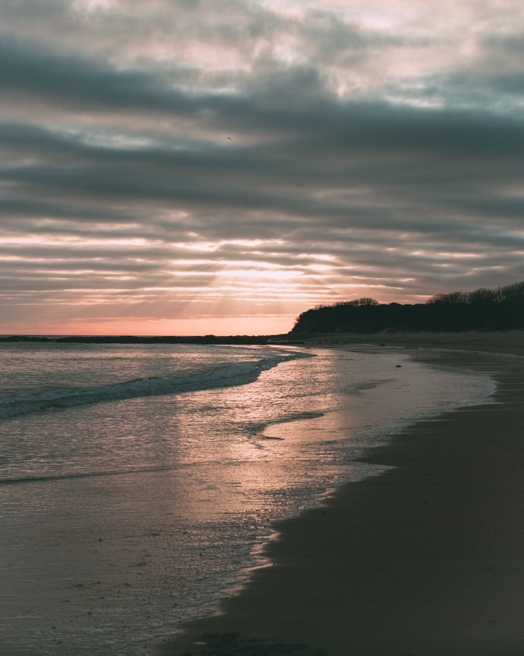 Seacliff Beach