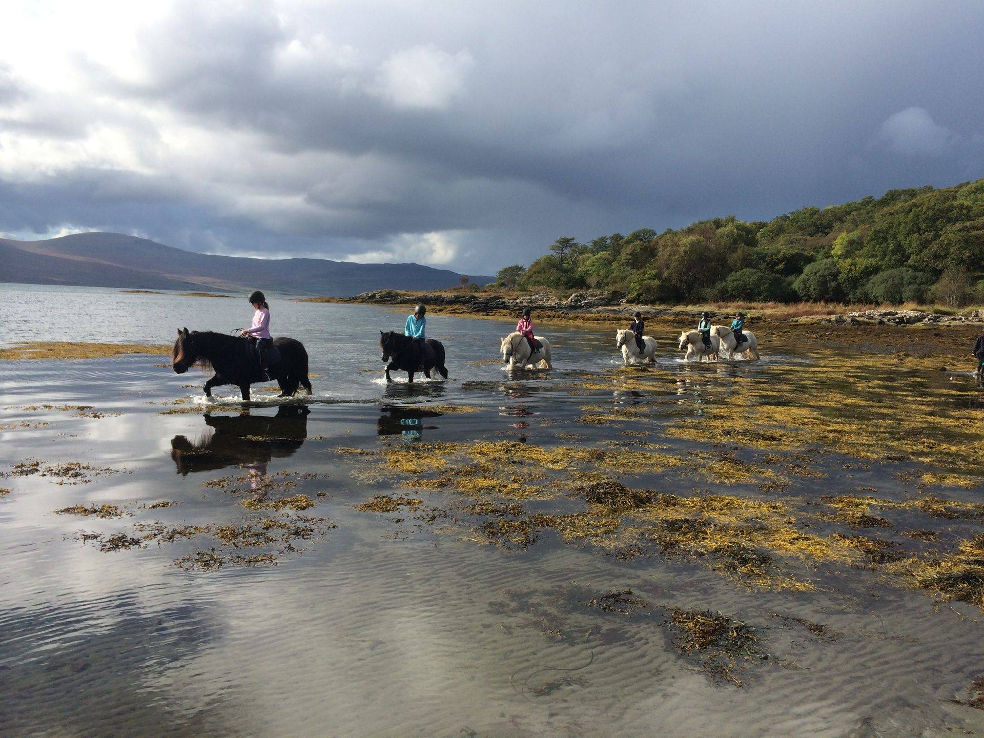 Pony Trekking