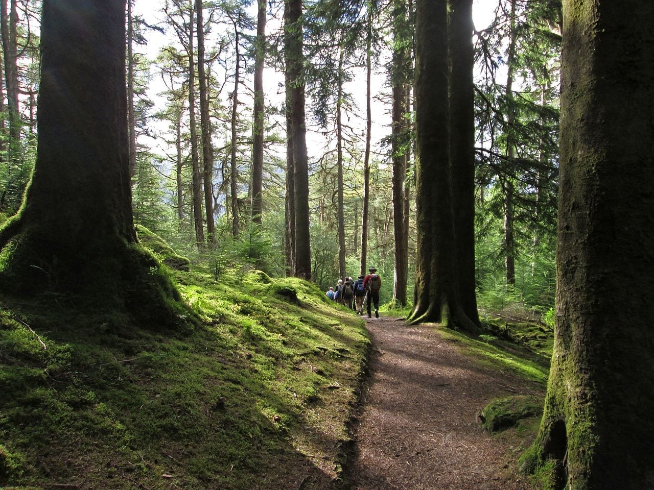Puck’s Glen
