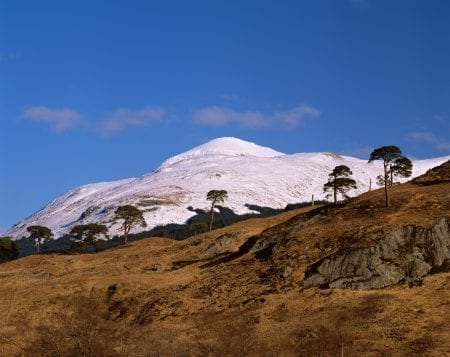 Ben More under snow above brown moorland and pines.