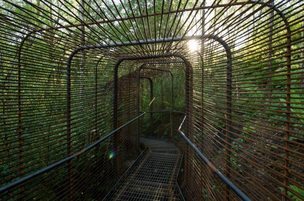 Metal walkway winds through a rusted wire tunnel amid dense woodland