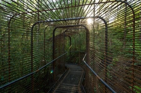Metal walkway winds through a rusted wire tunnel amid dense woodland