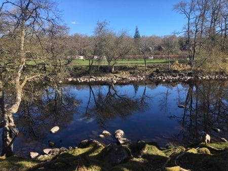 East Highland Way with Thistle Trekking