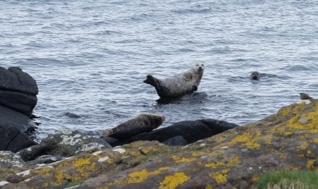 Isle of Arran Coastal Way by Thistle Trekking