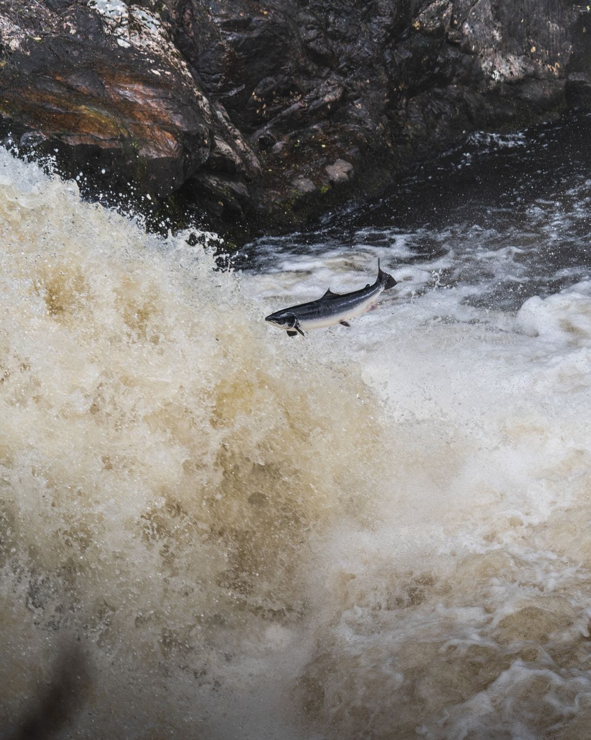 Falls of Shin