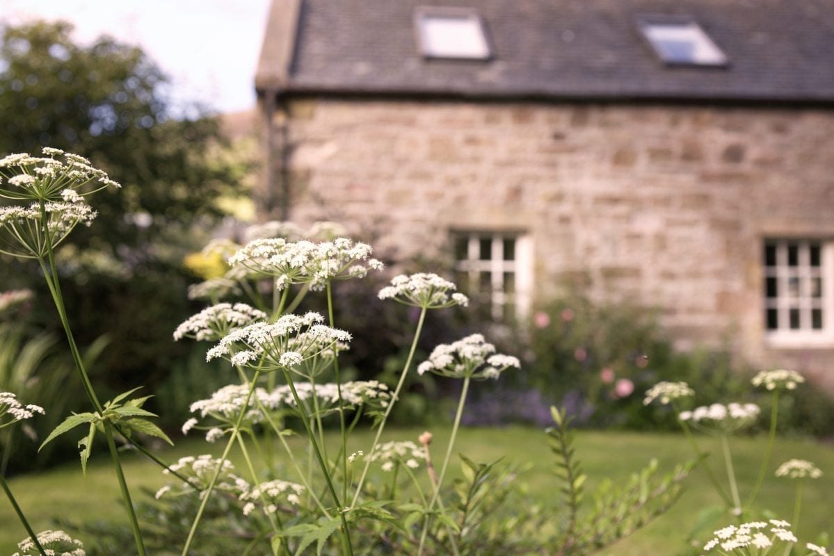 Steading