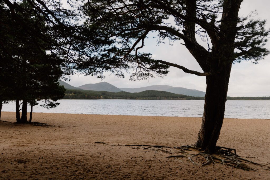 https://hiddenscotland-gallery.ams3.cdn.digitaloceanspaces.com/wp/2019/12/A7407902-1024x683.jpg