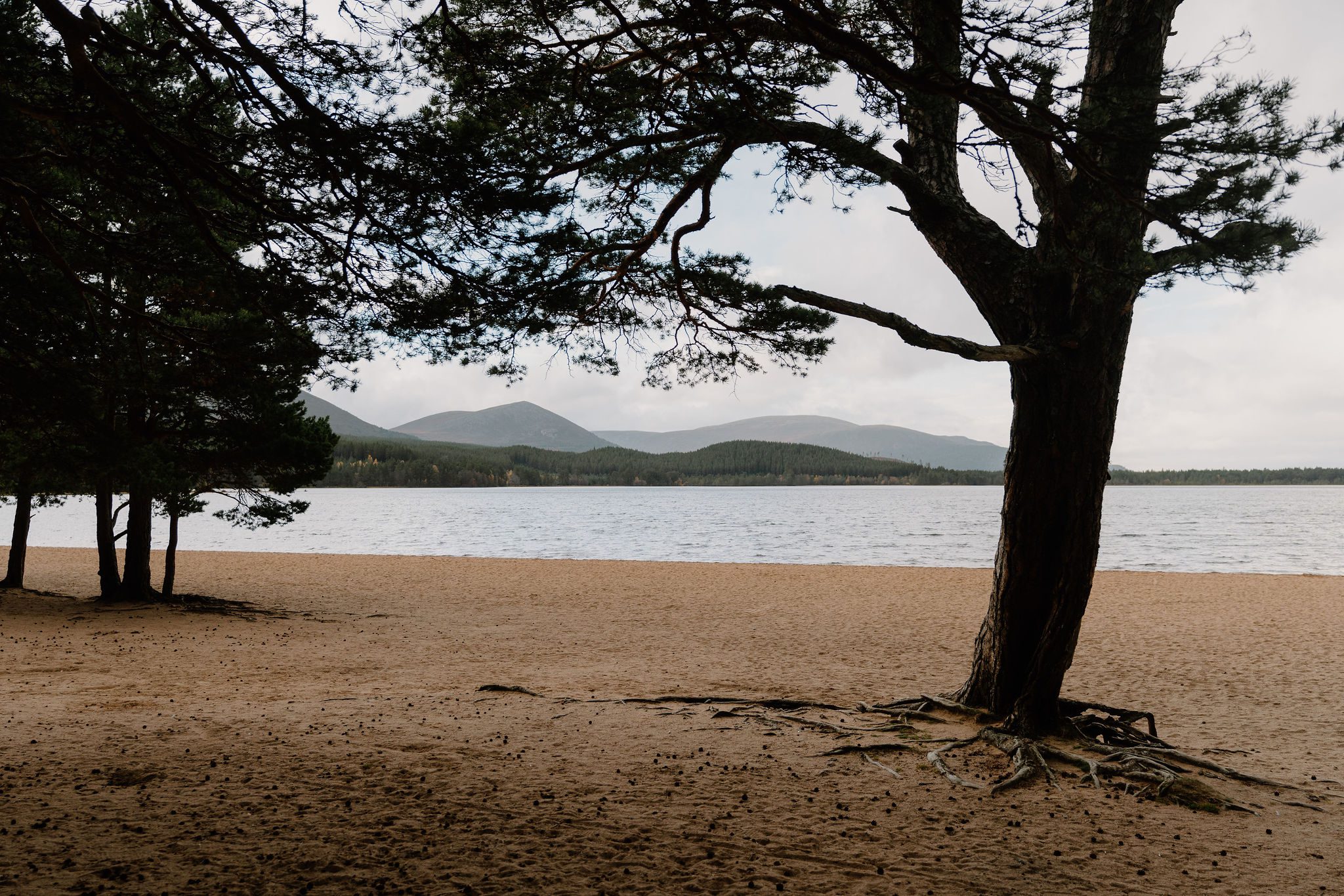 Loch Morlich