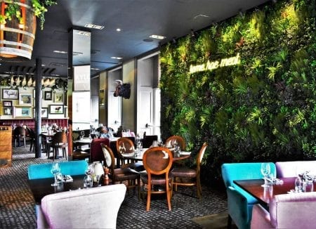 kyloe-edinburgh