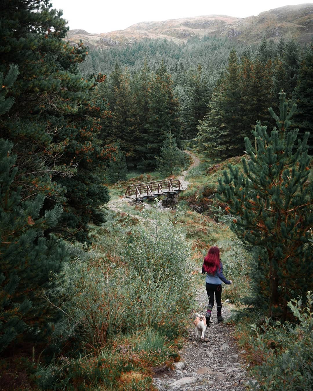 The Galloway Forest Park