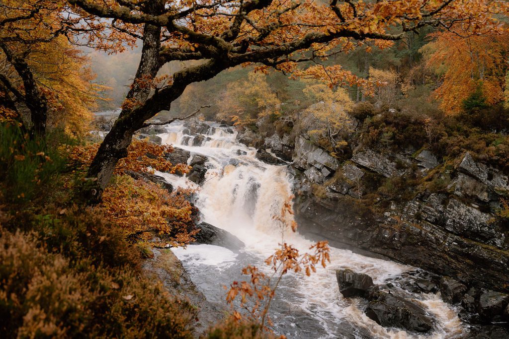 Falls of Rogie