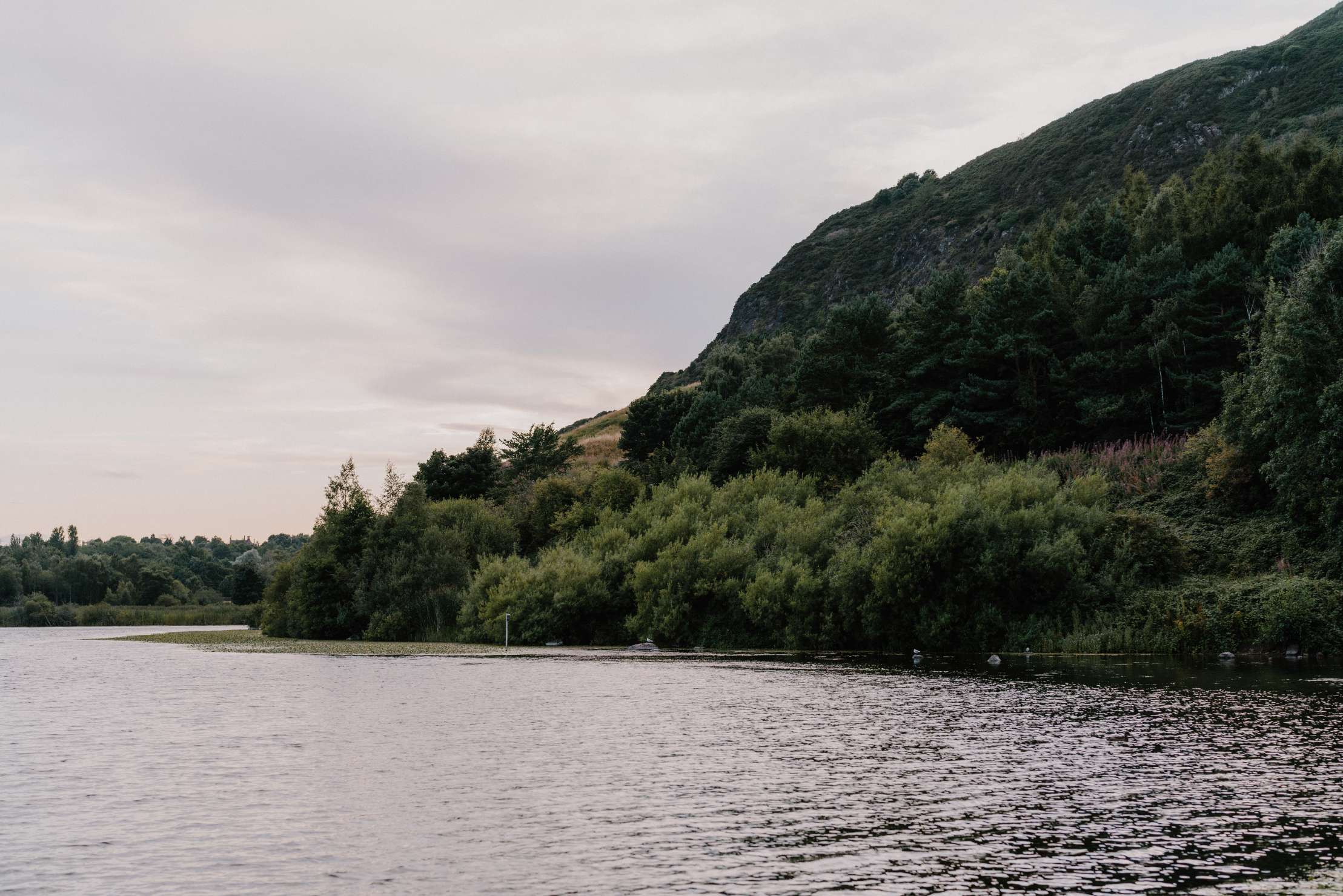 Duddingston Loch & Garden