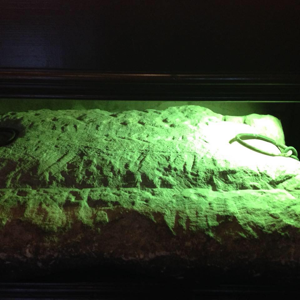 The Stone Of Destiny?...The Arlington Bar?