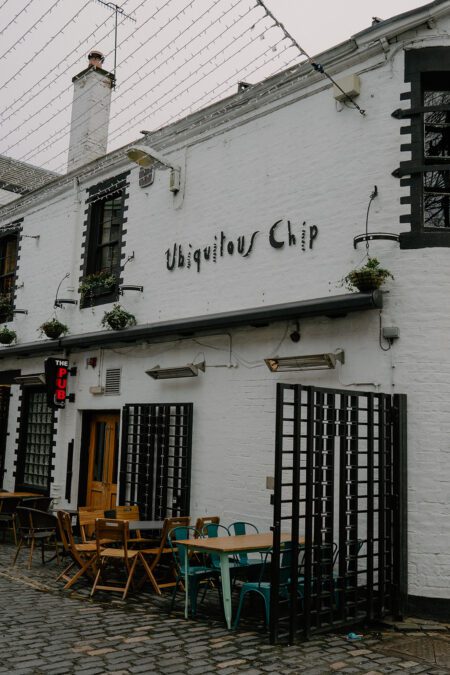 ubiquitous-chip