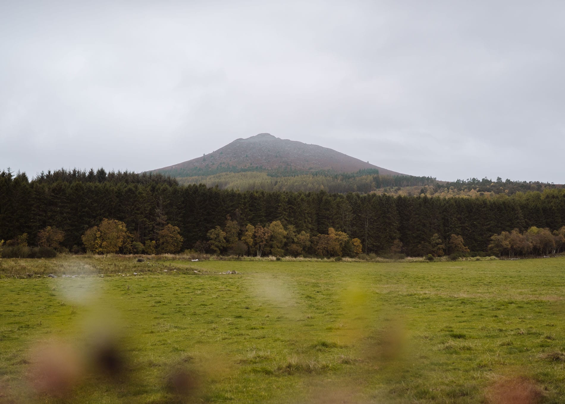 Bennachie