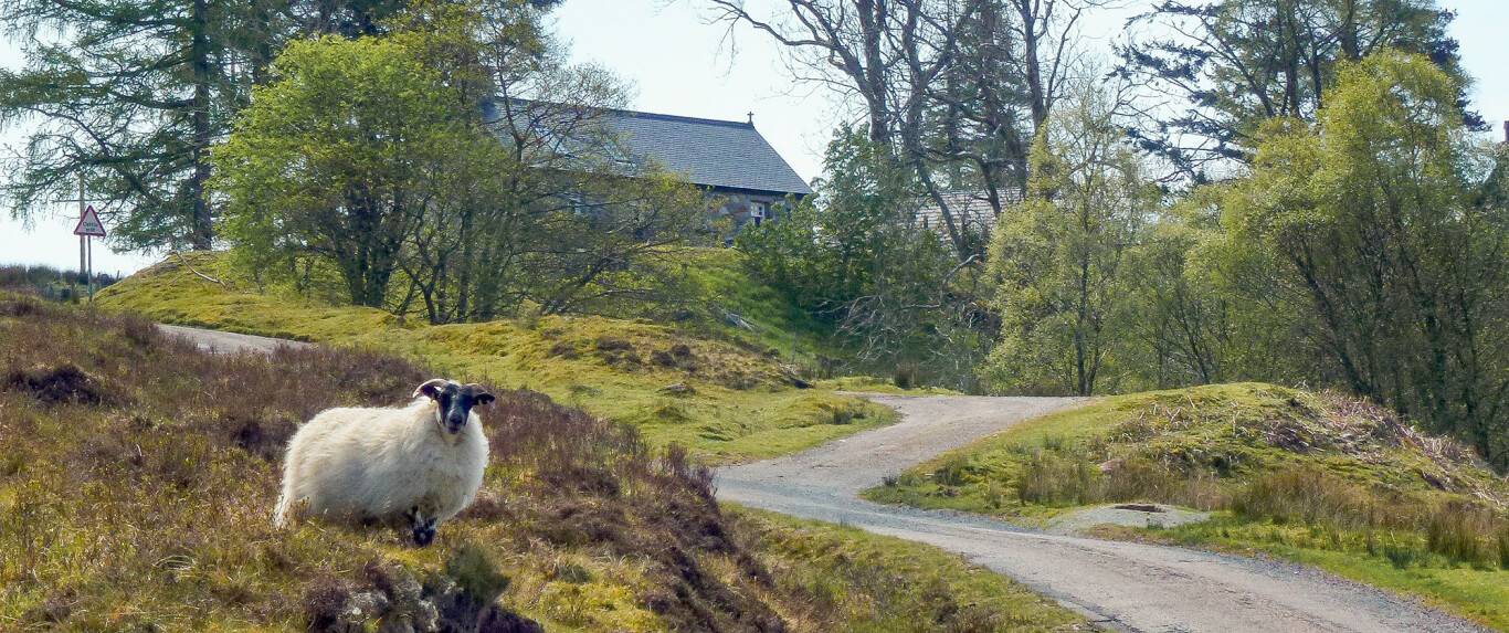 The Old Byre