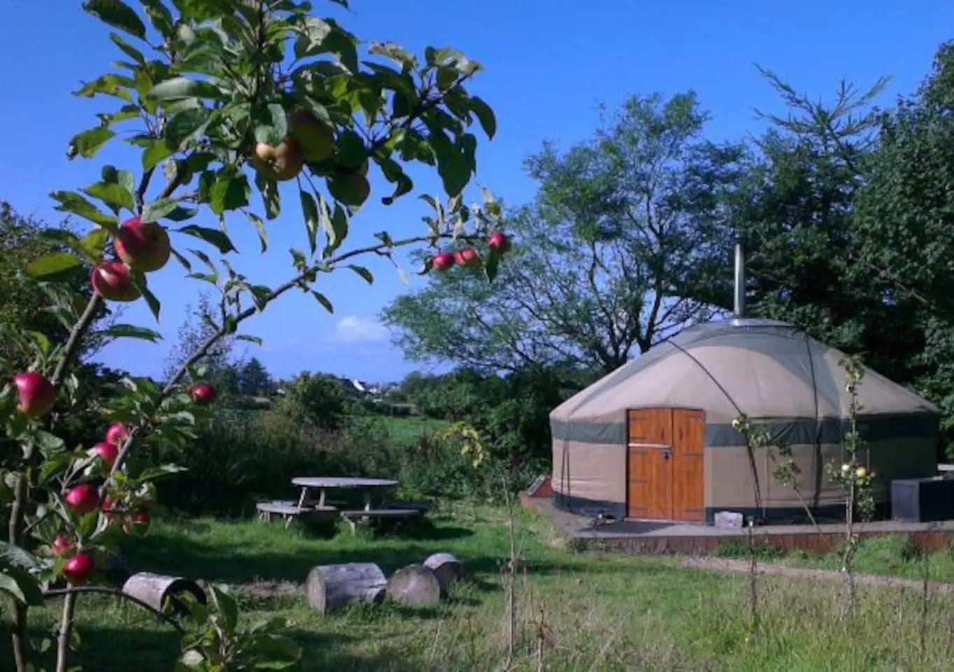 Runach Arainn Yurts