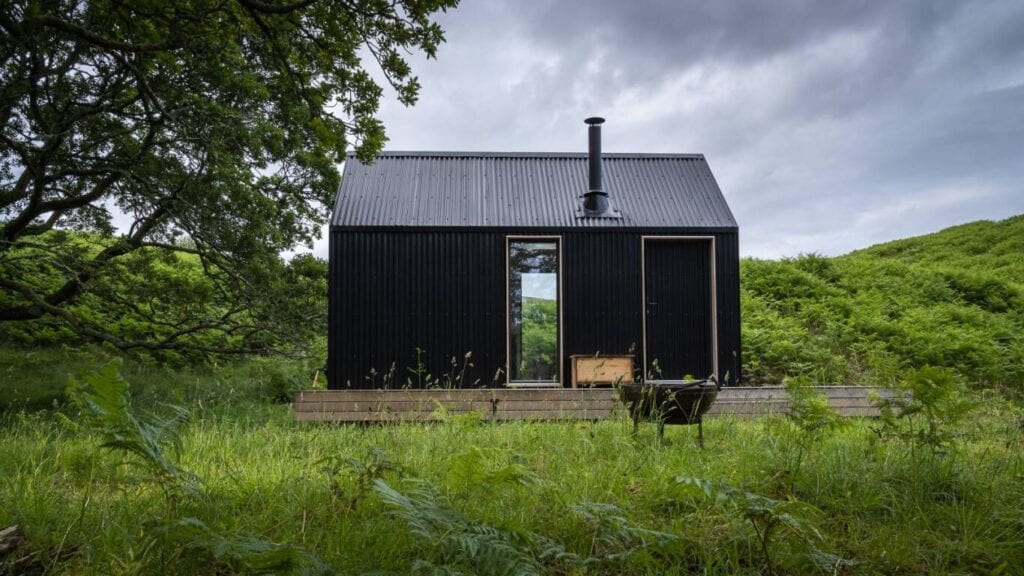 Black timber-clad cabin with corrugated roof and stove flue, set among trees and long grass