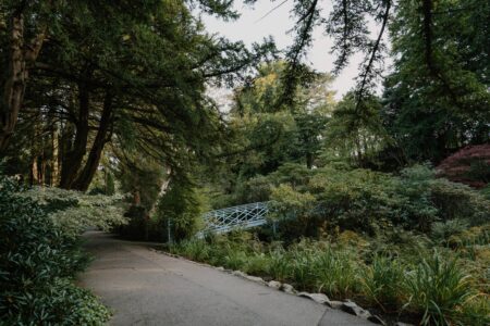 Johnston Gardens