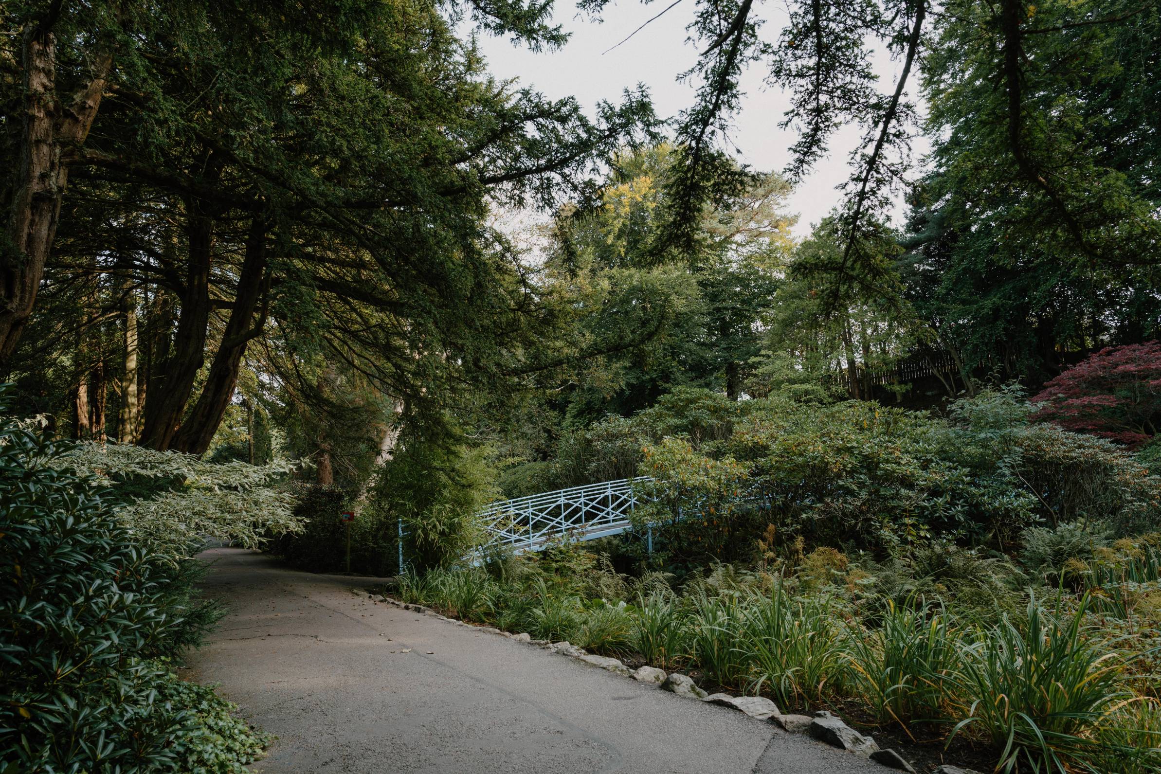 Johnston Gardens