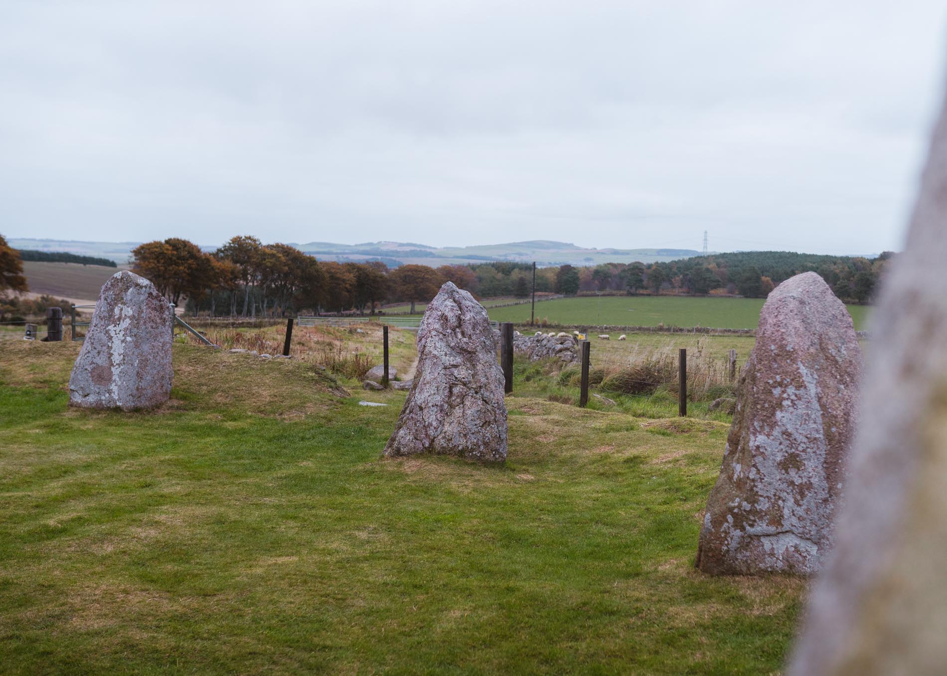 East Aquhorthies Stone Circle