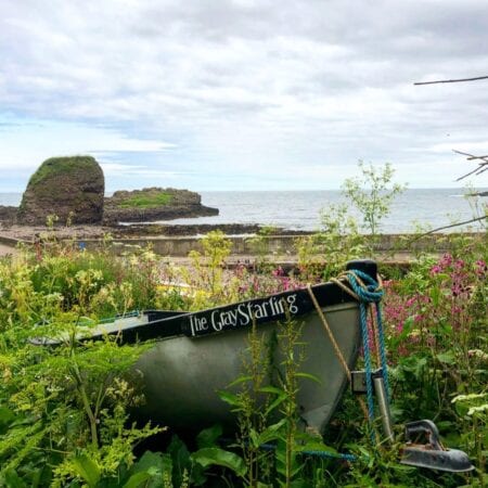 Rowing boat "The Gray Starling" sits among wildflowers overlooking a rocky sea stack