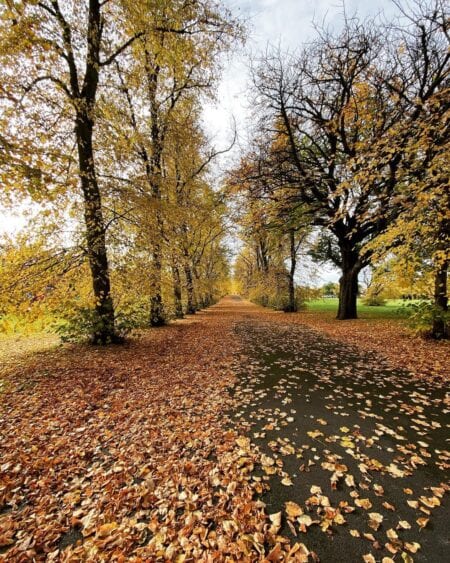 Bellahouston Park