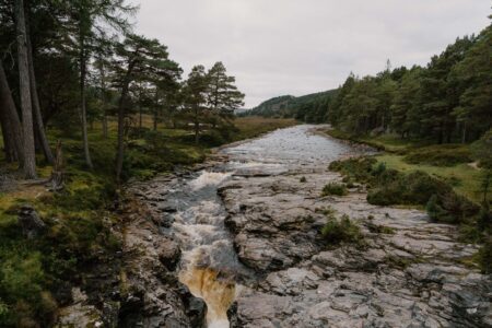 Linn O’Dee
