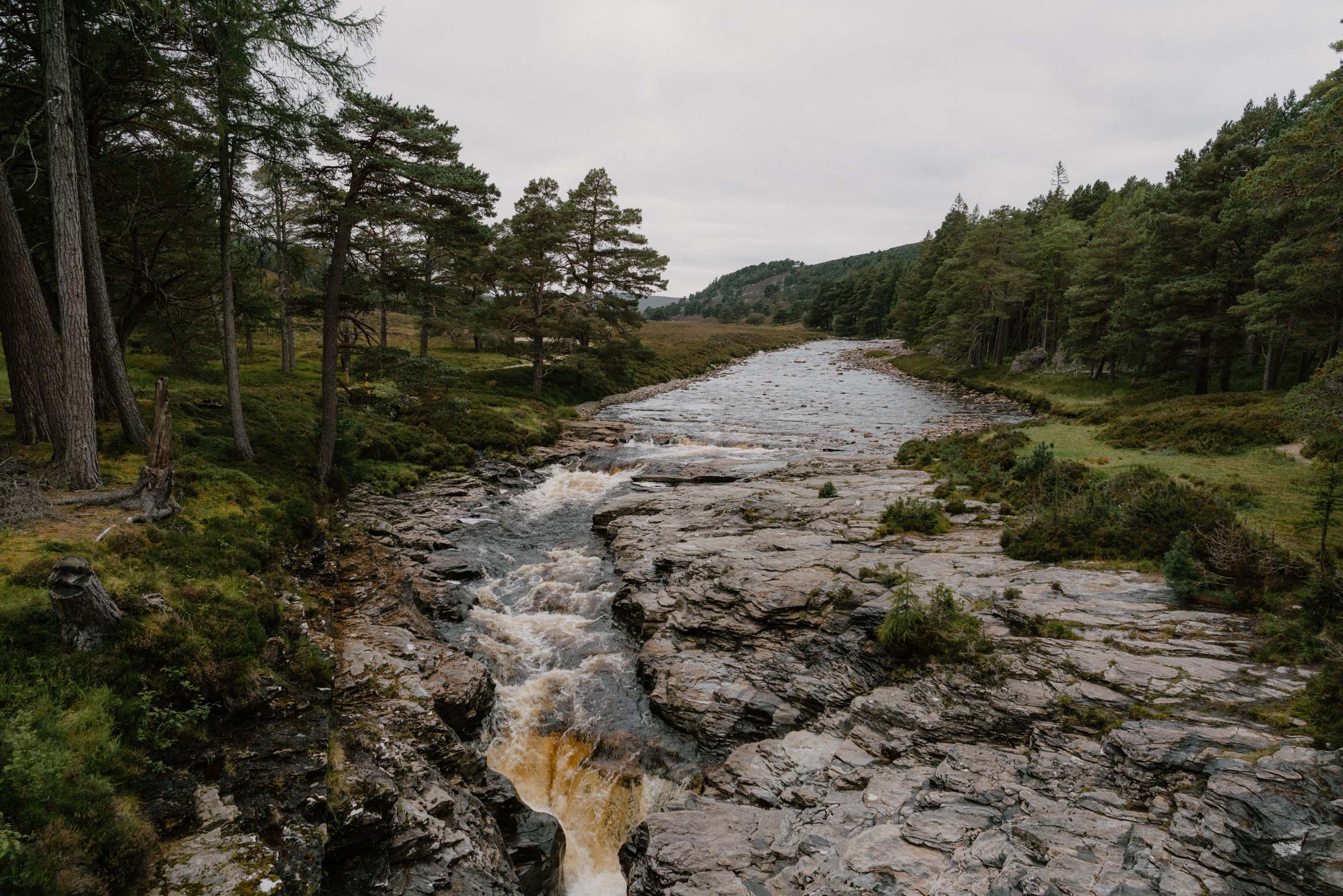 Linn O’Dee