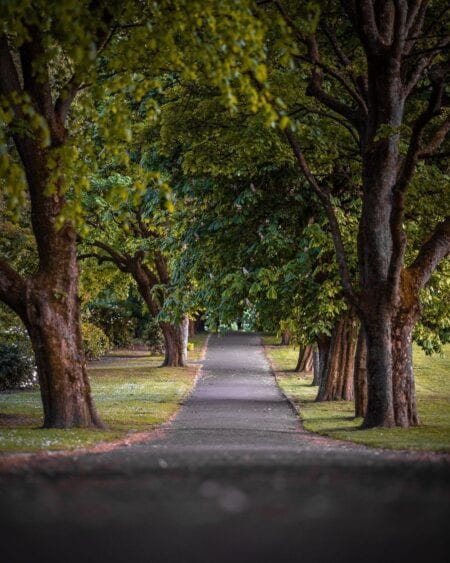 Tollcross Park
